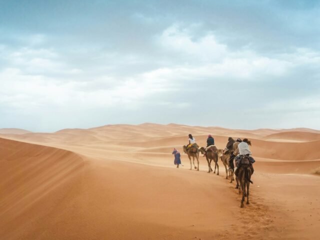 Camel caravan crossing the Sahara Desert